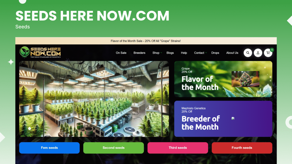Seeds Here Now: Feminized Cannabis Seeds, Clones & Strains